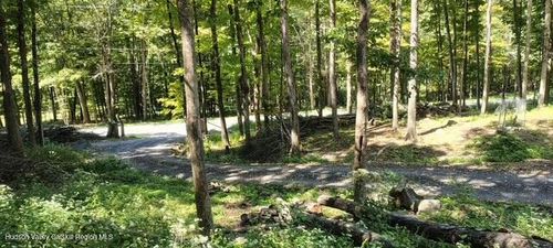 786 Route 41, Freehold, NY, 12431-6007 | Card Image