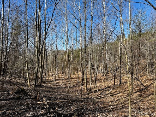 30.19 Acres (Off Of) Belvedere Dr, Home with 0 bedrooms, 0 bathrooms and null parking in Fieldale VA | Image 18