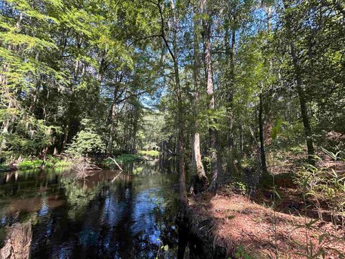 TBD Mount Calvary Rd., Dillon, SC, 29536 | Card Image