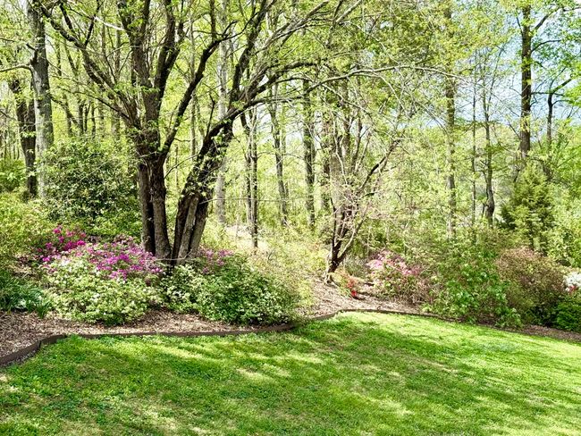189 Caseys Trl, House other with 4 bedrooms, 4 bathrooms and null parking in La Fayette GA | Image 99