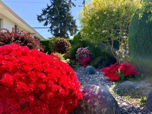 10880 Southridge Rd, Richmond, BC, V7A2X4 | Card Image