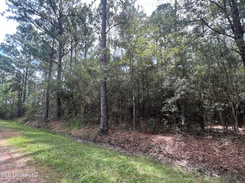 Nhn Tampa Cir, Pearlington, MS, 39572 | Card Image