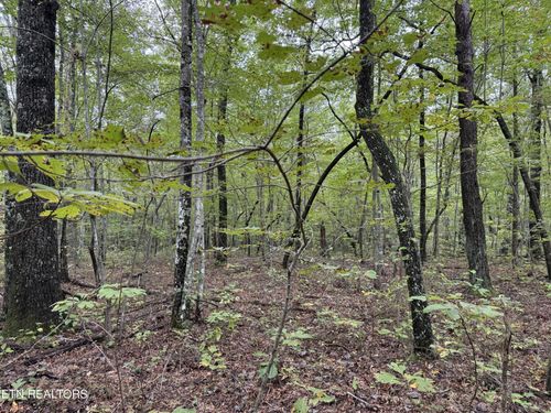 0 White Oak Rd, Monterey, TN, 38574 | Card Image