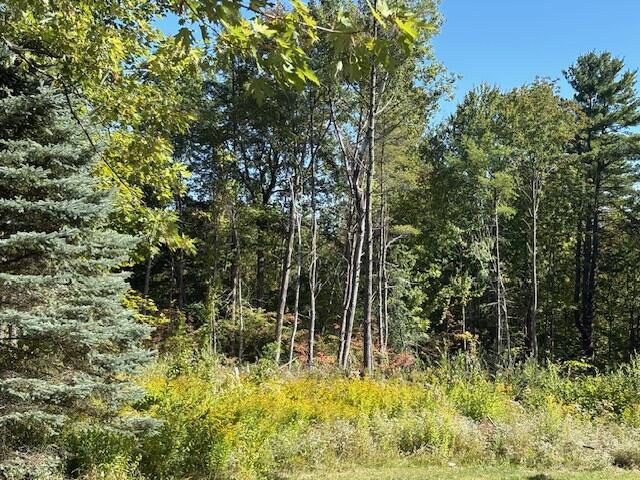 Land in Auburn 3