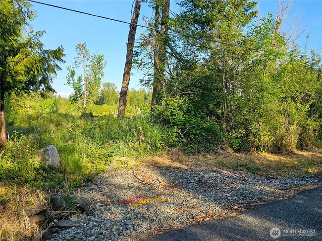 25867 150 Th Ave E, Home with 0 bedrooms, 0 bathrooms and null parking in Graham WA | Image 4