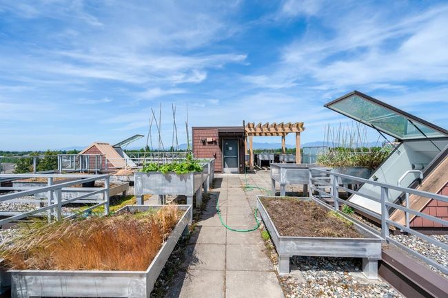 Exterior space featuring a vegetable garden | Image 23