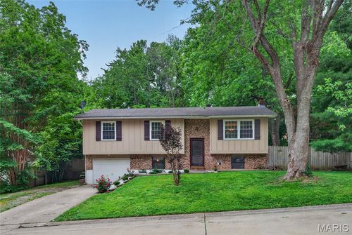 819 Odus Dr, Jackson, MO, 63755-3107 | Card Image