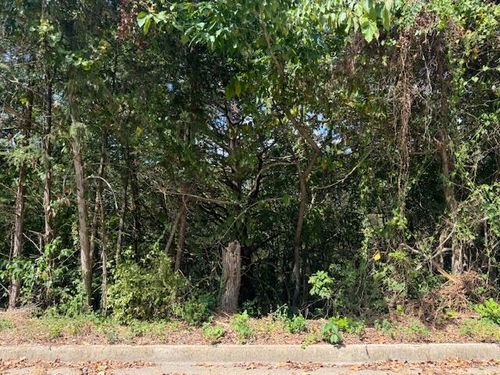 Lot 22 Rose Oneill Dr, Branson, MO, 65616 | Card Image