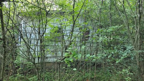 225 David Williams Rd, Bell Buckle, TN, 37020-4547 | Card Image