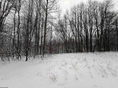 TBD Silver Oak Ln, Belington, WV, 26250 | Card Image