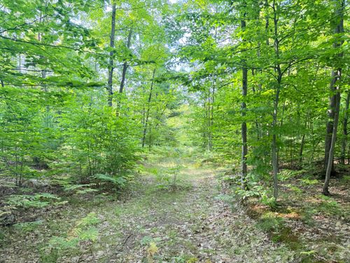 VL 3 Mile Road, Luther, MI, 49656 | Card Image