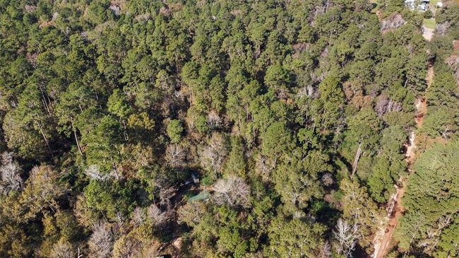 0 Bob Wahle Ln, Home with 0 bedrooms, 0 bathrooms and null parking in Coldspring TX | Image 8