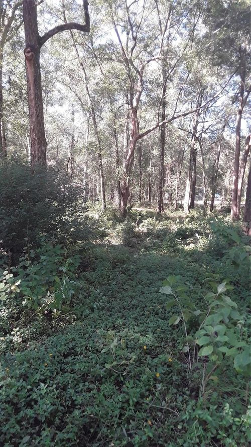 5314 Cucumber St, Sebring, FL, 33875 | Card Image