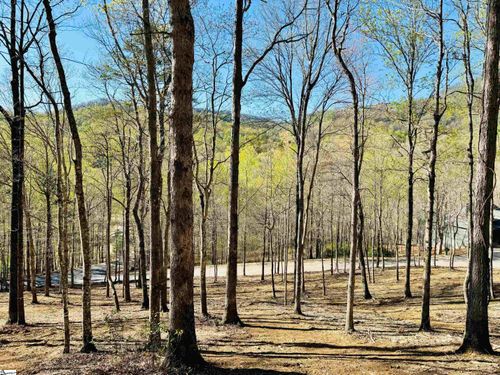 2 Buck Creek Trl, Travelers Rest, SC, 29690-4093 | Card Image