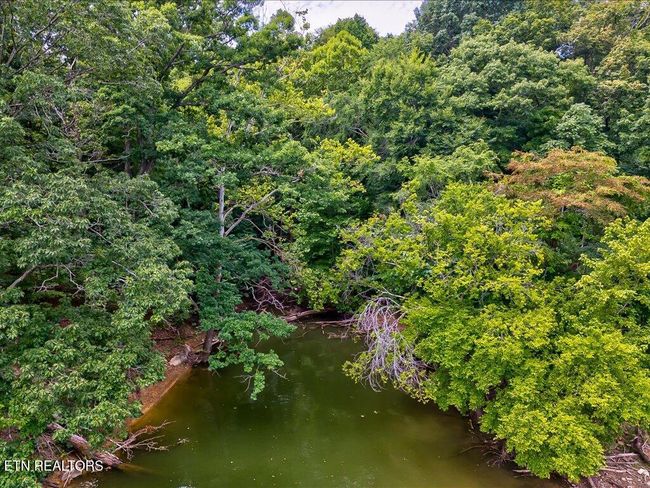 5037 Serenity Dr, Home with 0 bedrooms, 0 bathrooms and null parking in Mooresburg TN | Image 26