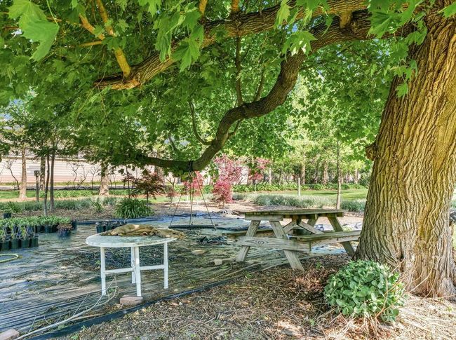 810 S Century Blvd, Home with 0 bedrooms, 0 bathrooms and null parking in Rantoul IL | Image 23