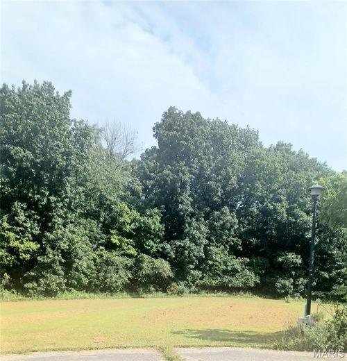 8 Summers Breeze Ct, Hawk Point, MO, 63349-2082 | Card Image