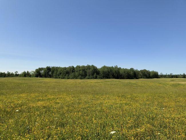 16499 Hwy 45, Home with 0 bedrooms, 0 bathrooms and null parking in Bruce Crossing MI | Image 8
