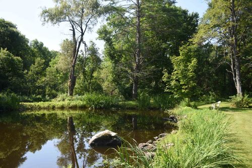 1078 Brook Rd, Marshfield, VT, 05658-7033 | Card Image