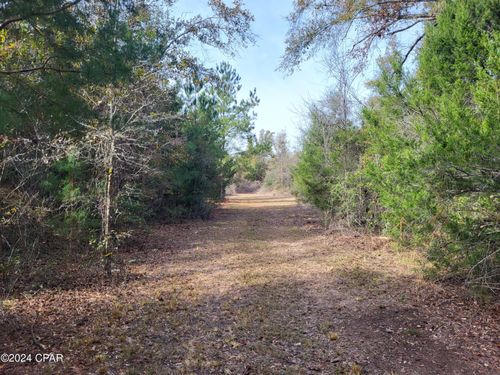 lot-4-00 Tommy Tucker Road, Altha, FL, 32421 | Card Image