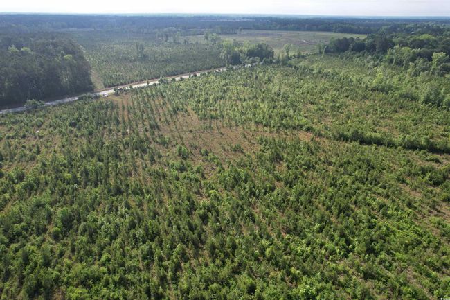 20 Highway 260, Home with 0 bedrooms, 0 bathrooms and null parking in Manning SC | Image 4