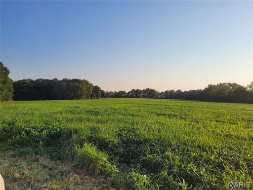 0 Highway Dd, Bellflower, MO, 63333 | Card Image