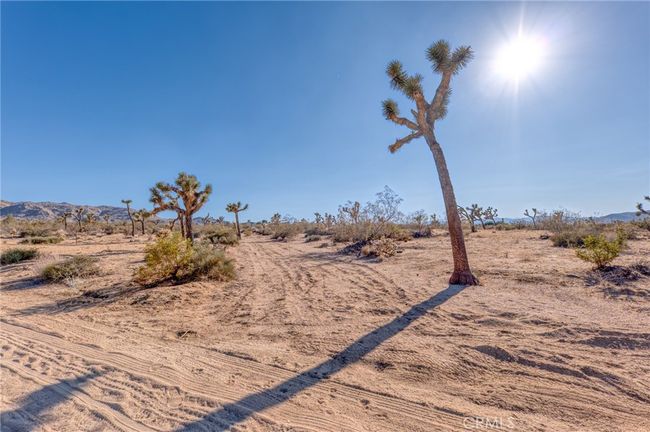 107 Juniper Rd, Home with 0 bedrooms, 0 bathrooms and null parking in Joshua Tree CA | Image 13