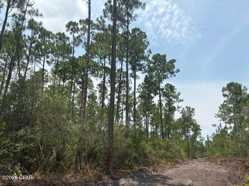 22563 Nw Lake Mckenzie Blvd, Altha, FL, 32421-3862 | Card Image