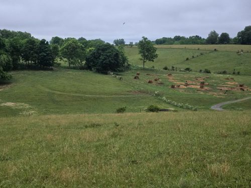 4430 State Hwy 1194, Stanford, KY, 40484 | Card Image