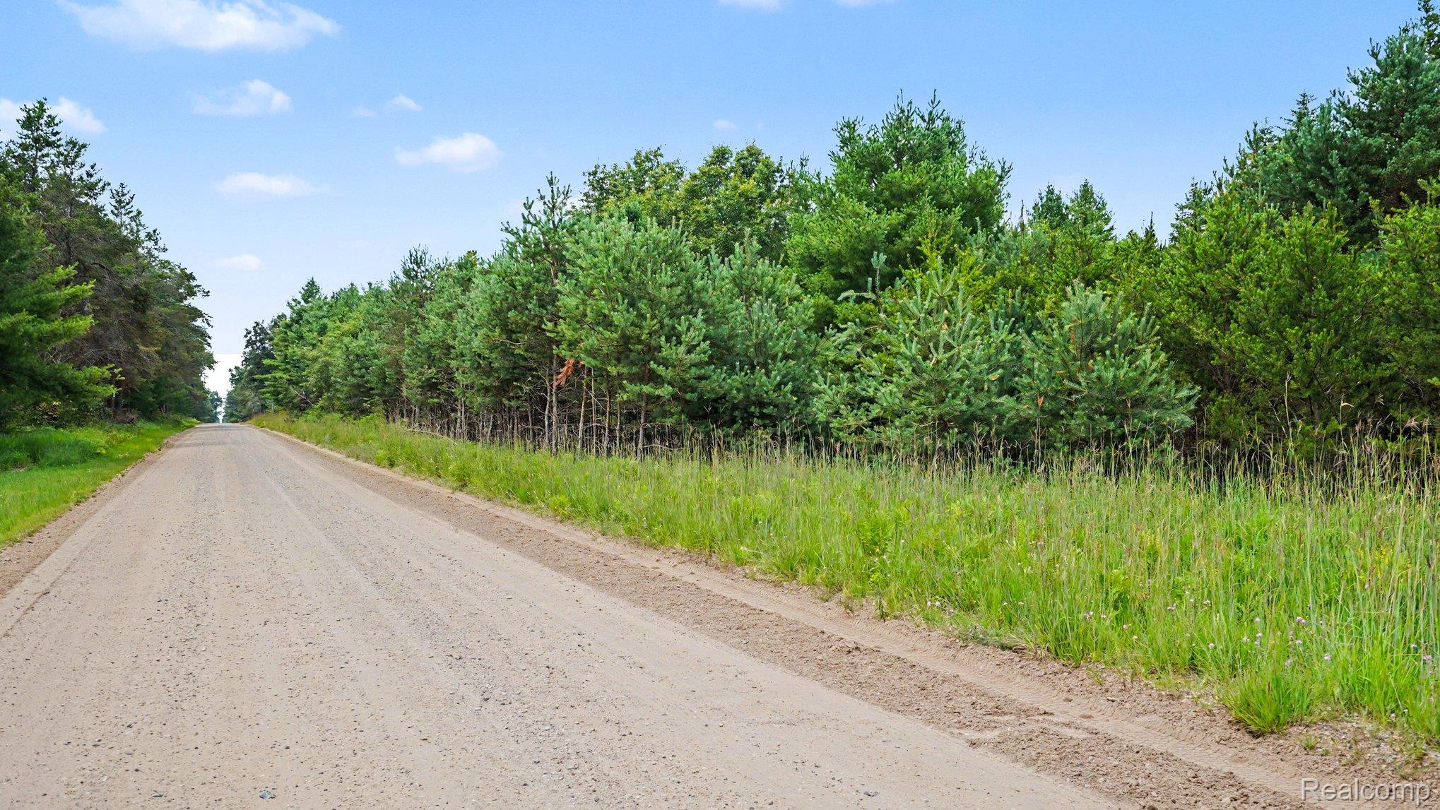 Land in Beaver Creek Township 3