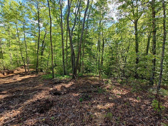 Lot 3 Megan Trace Ln, Home with 0 bedrooms, 0 bathrooms and null parking in Turtletown TN | Image 5