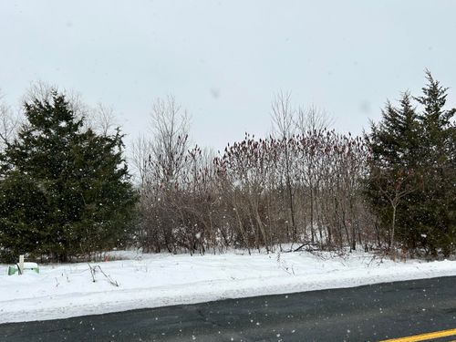 1614 66th St, Fennville, MI, 49408-8913 | Card Image