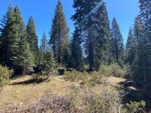 3-E-7 Mt Shasta Dr, Mccloud, CA, 96057 | Card Image