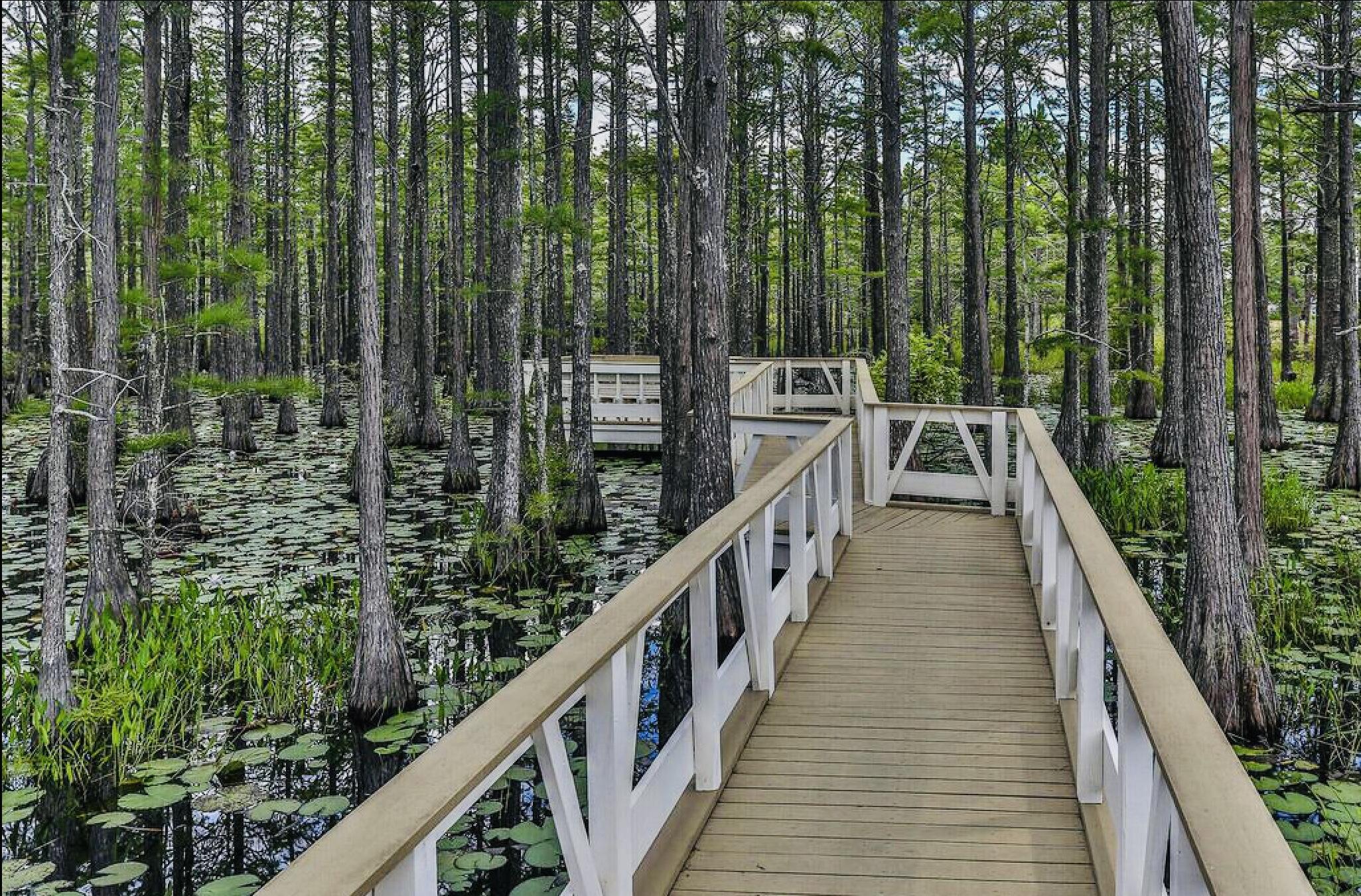 Land in Santa Rosa Beach