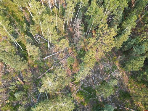 48 Ponderosa Way, Durango, CO, 81301-8714 | Card Image