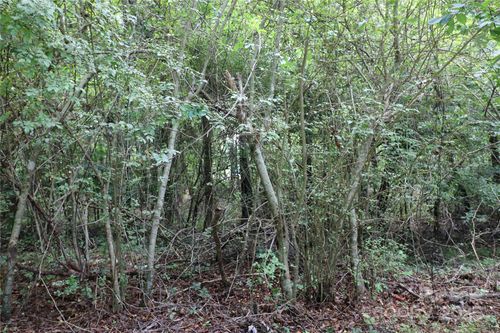 0 Whispering Pines Cir, Forest City, NC, 28043 | Card Image