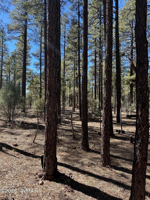 3737 Bear Trl, Lakeside, AZ, 85929-6961 | Card Image
