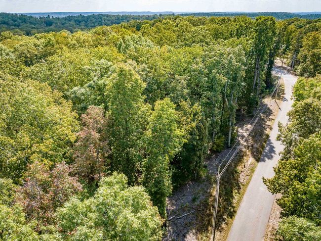 LOT 14/16 Ridgeway Dr, Home with 0 bedrooms, 0 bathrooms and null parking in Sugar Tree TN | Image 11