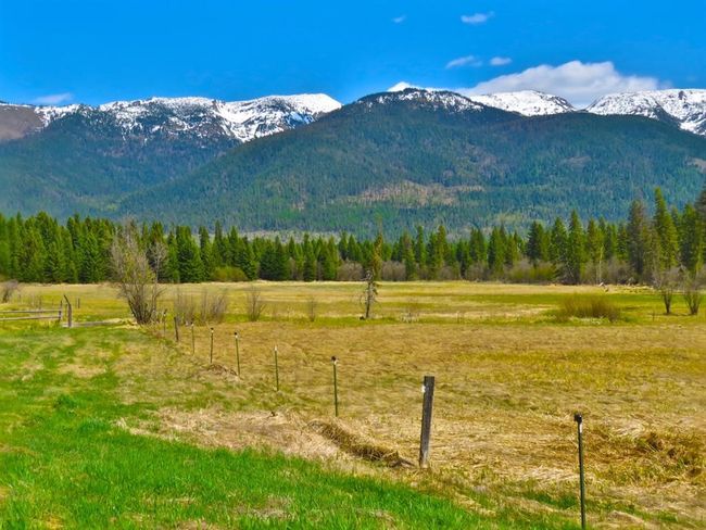895 Mud Lake Rd, Home with 0 bedrooms, 0 bathrooms and null parking in Bigfork MT | Image 13