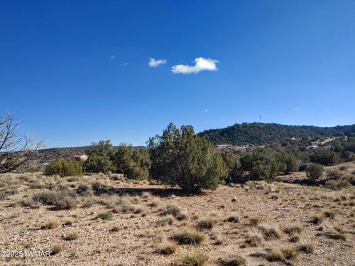 Parcel 2 W Shumway Rd, Taylor, AZ, 85939 | Card Image