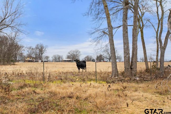 15037 State Highway 110, Home with 0 bedrooms, 0 bathrooms and null parking in Van TX | Image 4