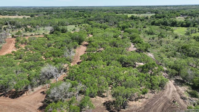 13704 Ladd Rd, Home with 0 bedrooms, 0 bathrooms and null parking in Atascosa TX | Image 8