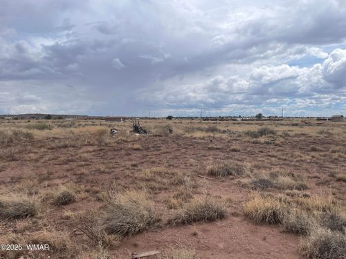 21 County Road 6010, Saint Johns, AZ, 85936 | Card Image