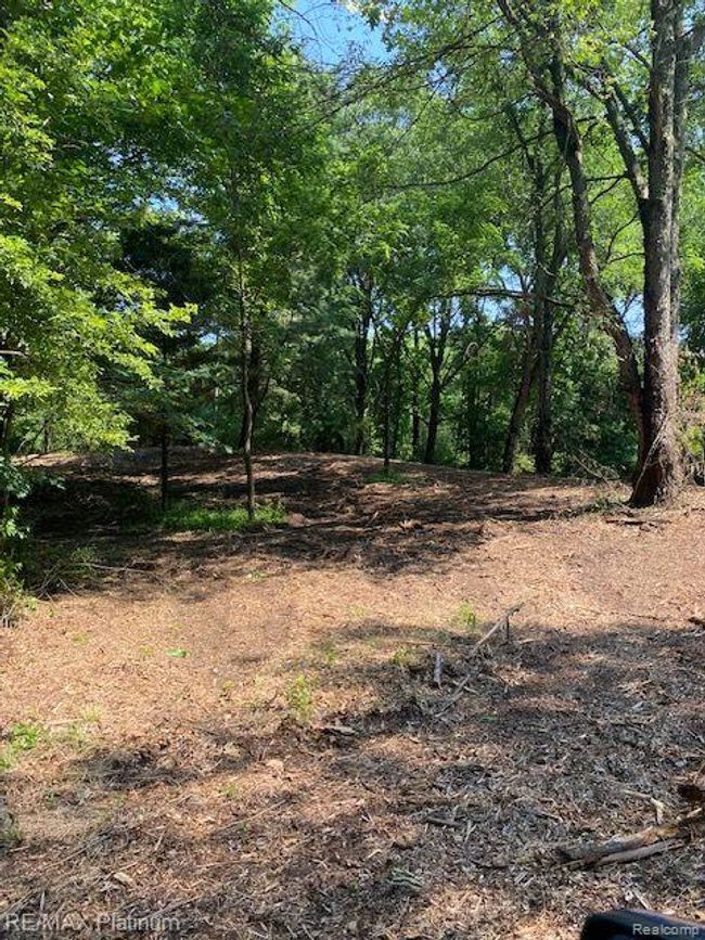 6 Sleaford Parcel 6   2.1 Acres Road, Home with 0 bedrooms, 0 bathrooms and null parking in Howell Township MI | Image 11