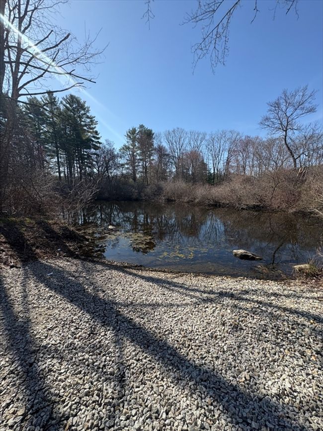 29 - 29 Willow Pond Cir, Condo with 2 bedrooms, 3 bathrooms and 2 parking in Medway MA | Image 37