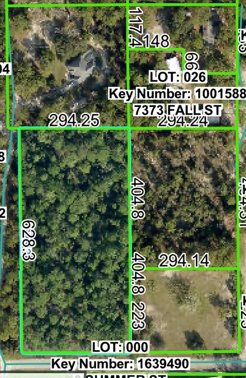 0 Horn Ave, BROOKSVILLE, FL, 34613 | Card Image