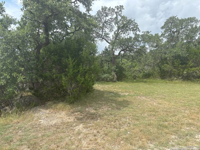 606 Lantana Mesa, Home with 0 bedrooms, 0 bathrooms and null parking in Spring Branch TX | Image 6