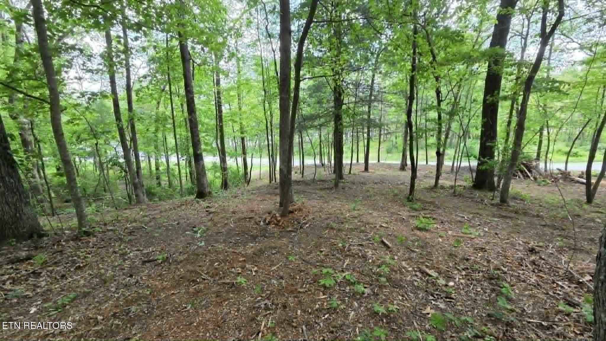 Land in Crossville 2