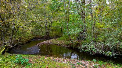 0 Yellow Creek Rd., Home with 0 bedrooms, 0 bathrooms and null parking in Robbinsville NC | Image 3