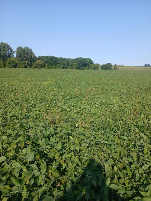 6147 County Road T, Whitelaw, WI, 54247 | Card Image